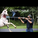 Obama Skeet Unicorn